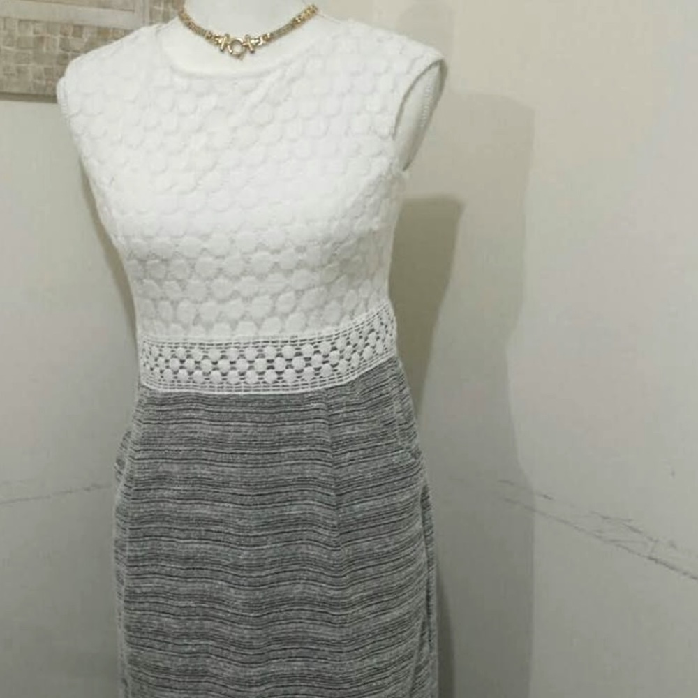 Sandra Darren Cotton Blend Dress
